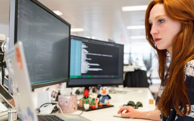 Les Hackers Éthiques : Ces Pirates Qui Protègent Votre Vie Privée