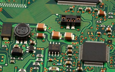 De la Jungle Urbaine aux Algorithmes : La Double Vie des Data Scientists